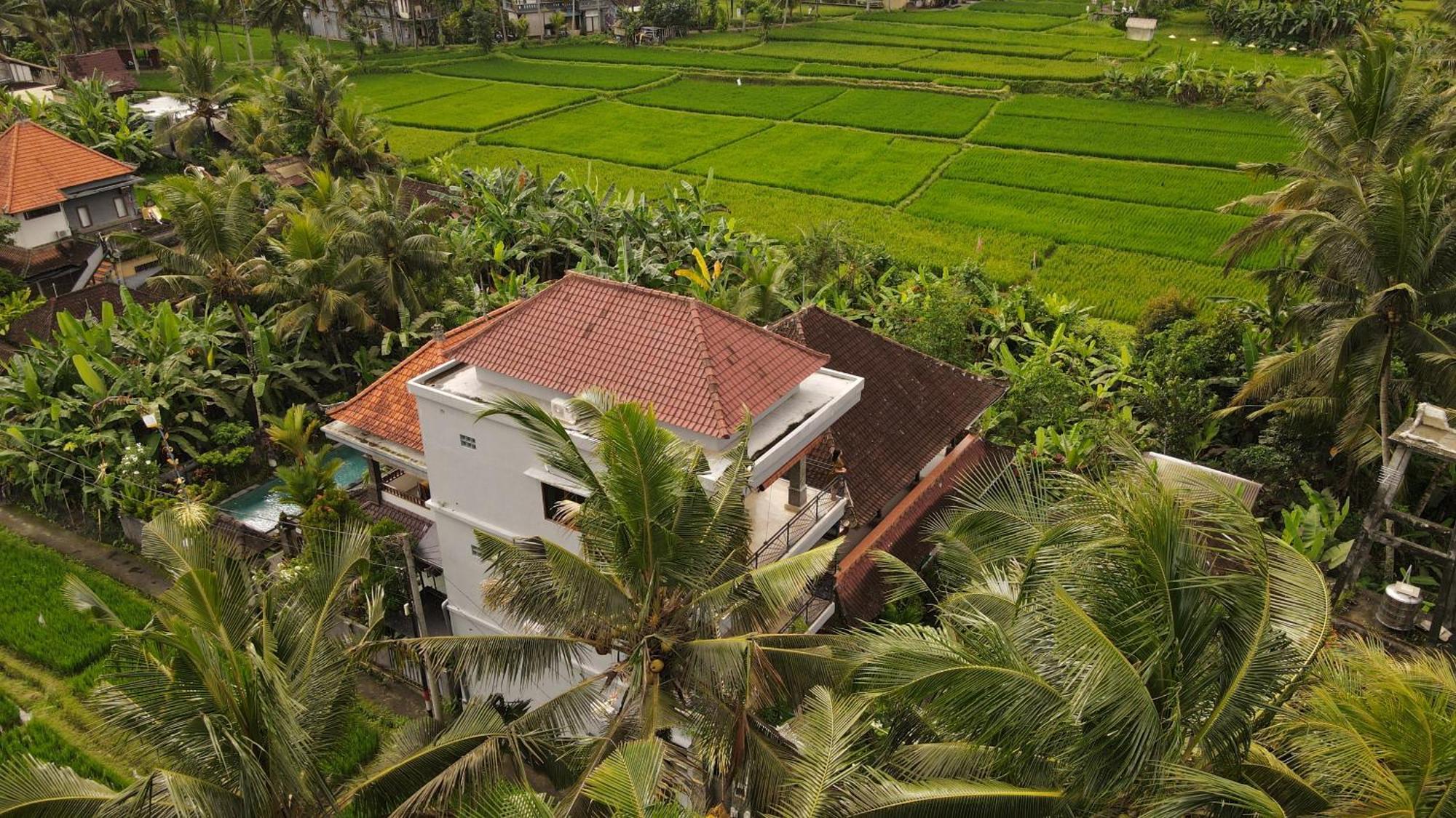 Nirwa 1 Ubud Guesthouse Exterior foto